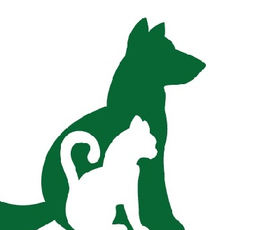 Atencion veterinaria horario normal