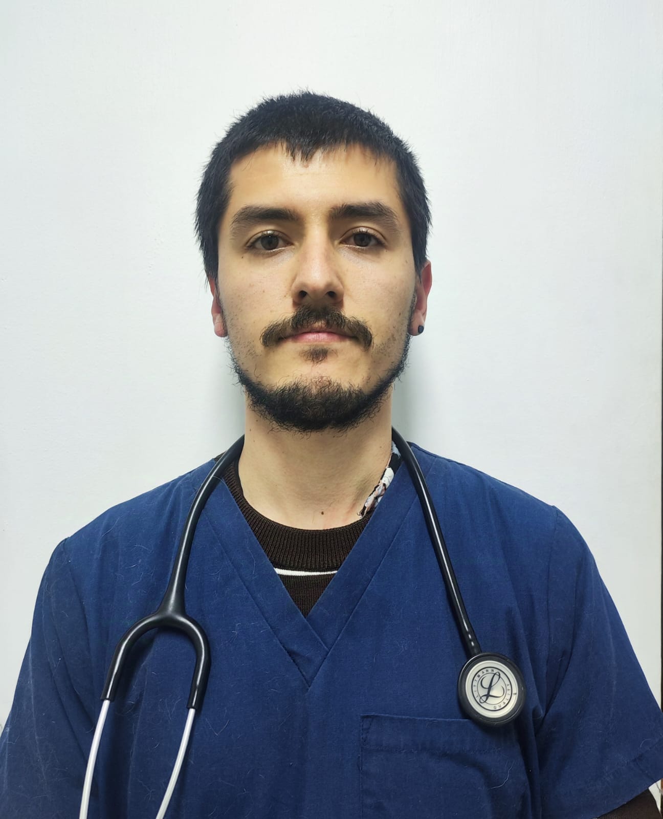 Médico Veterinario, pequeños animales, medicina felina